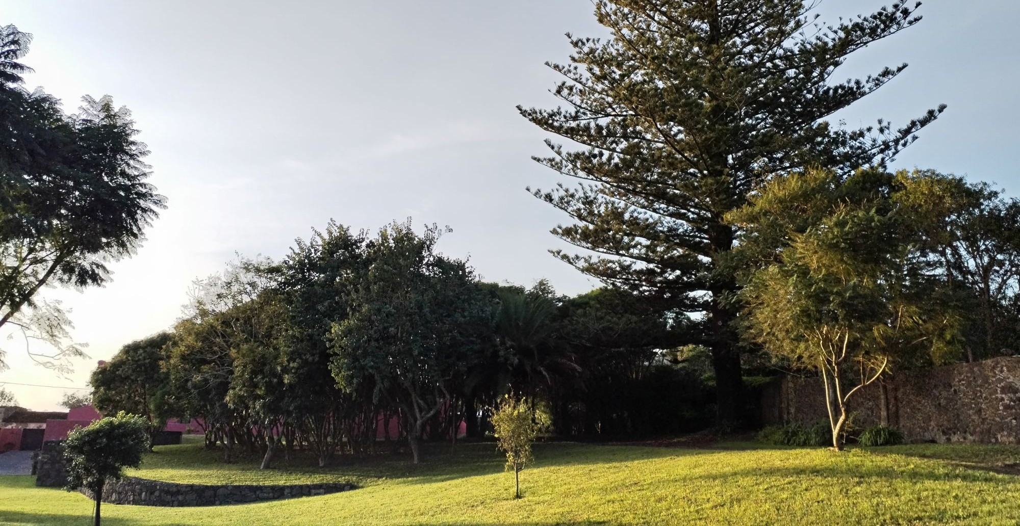 Jardim